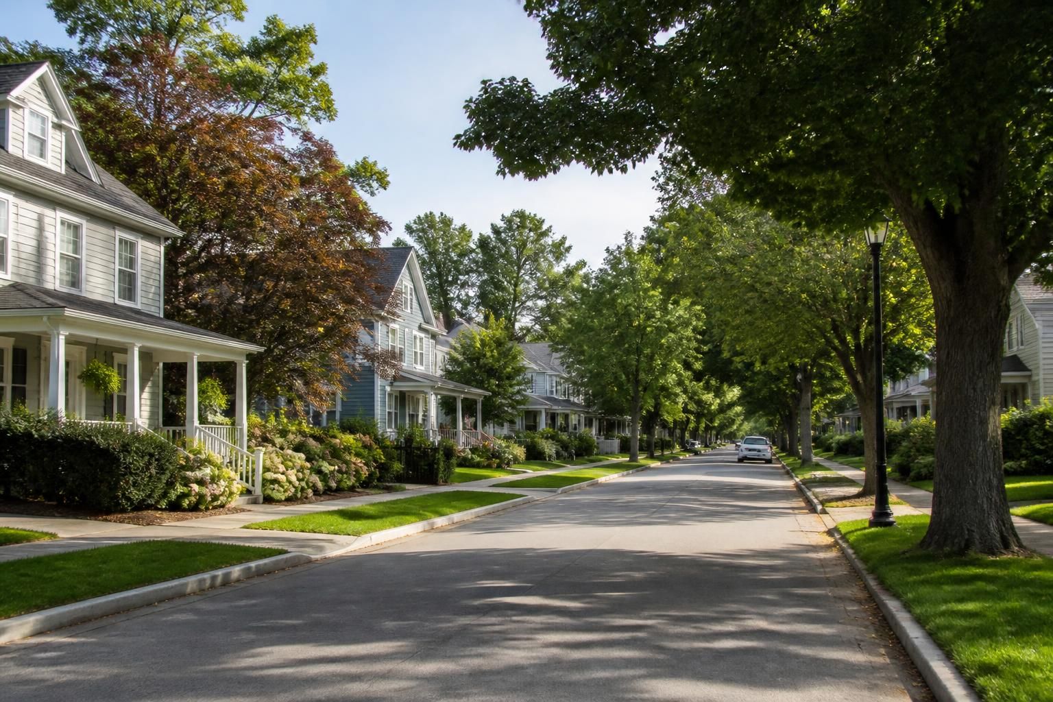 Neighborhood avenue with neat houses and mature landscaping