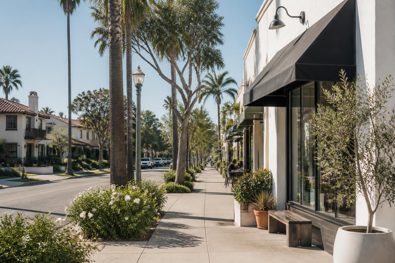 Palm-lined neighborhood streetscape in a welcoming local area
